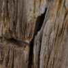 Mesilla madera petrificada 52005