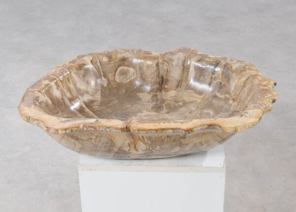 Bowl petrified wood 54010