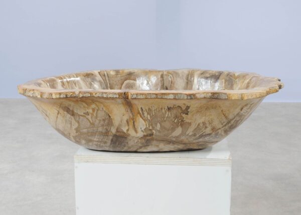 Bowl petrified wood 54010