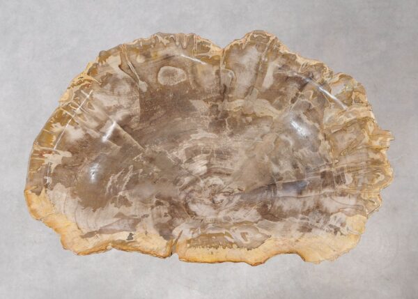 Bowl petrified wood 54010