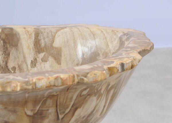 Bowl petrified wood 54010