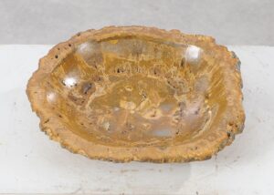 Bowl petrified wood 54011