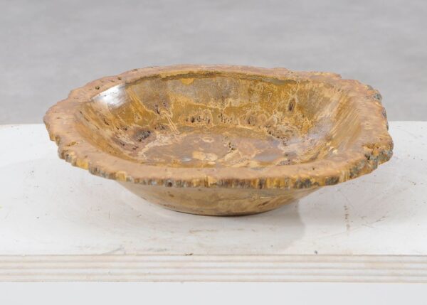 Bowl petrified wood 54011