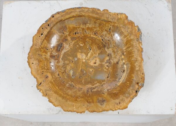 Bowl petrified wood 54011