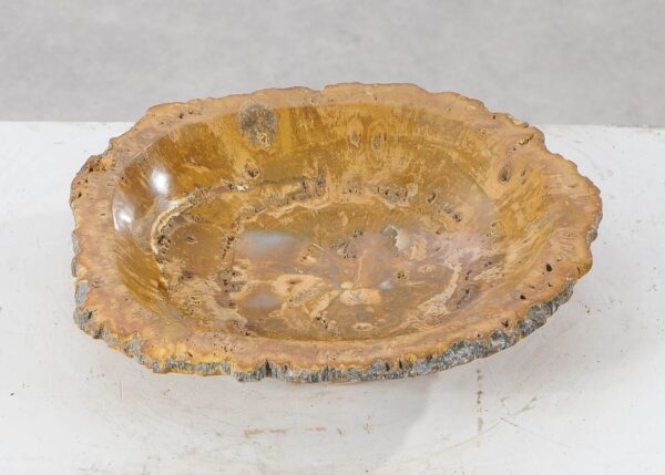 Bowl petrified wood 54011