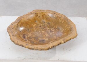 Bowl petrified wood 54012