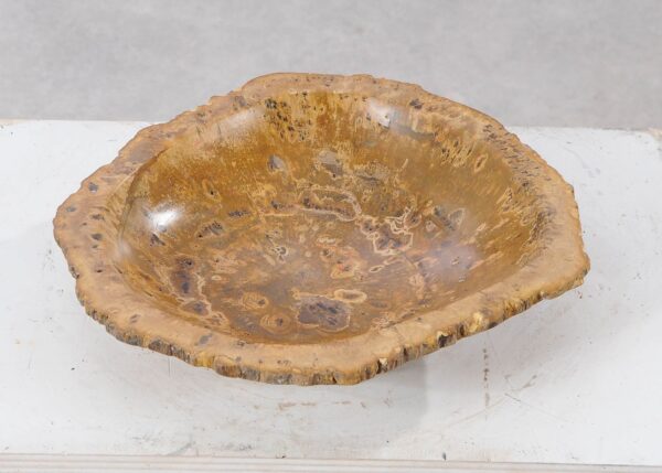 Bowl petrified wood 54012