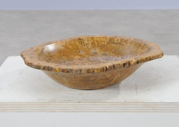 Bowl petrified wood 54012