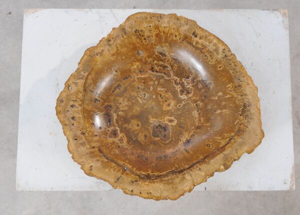 Bowl petrified wood 54012