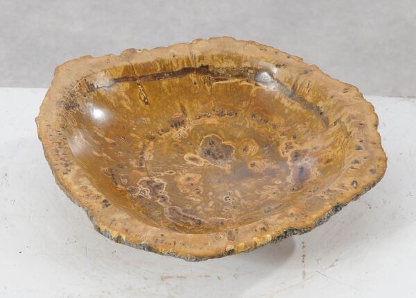 Bowl petrified wood 54012