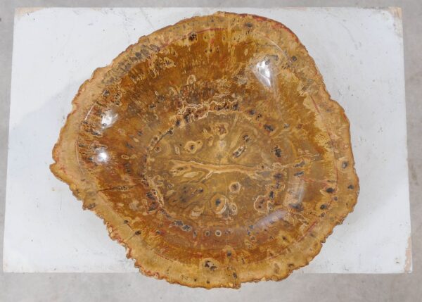 Bowl petrified wood 54013