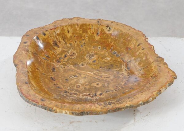 Bowl petrified wood 54013