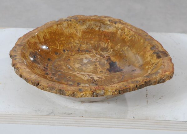 Bowl petrified wood 54014