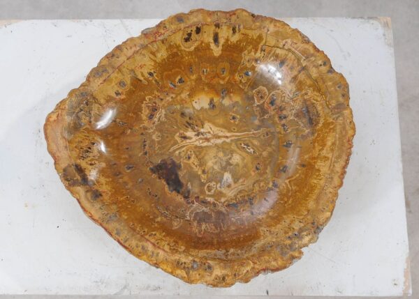 Bowl petrified wood 54014