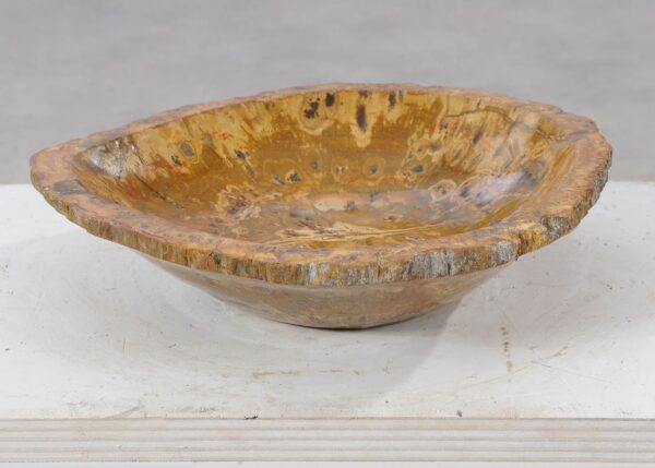 Bowl petrified wood 54014