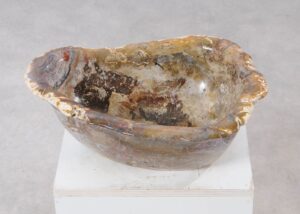 Bowl petrified wood 54029