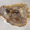 Bowl petrified wood 54029
