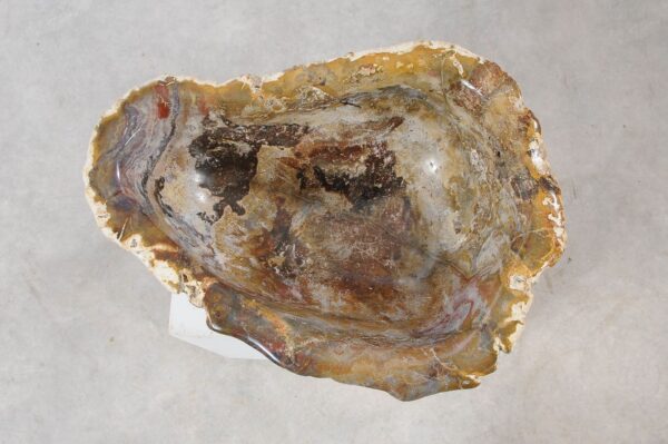 Bowl petrified wood 54029