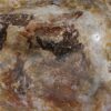 Bowl petrified wood 54029
