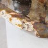 Bowl petrified wood 54029