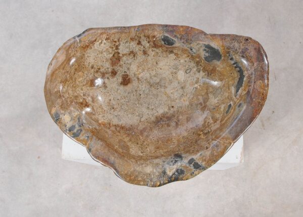 Bowl petrified wood 54038