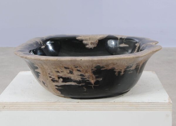 Bowl petrified wood 54043