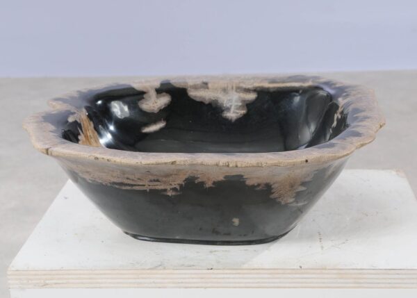 Bowl petrified wood 54044