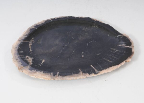 Plate petrified wood 54051