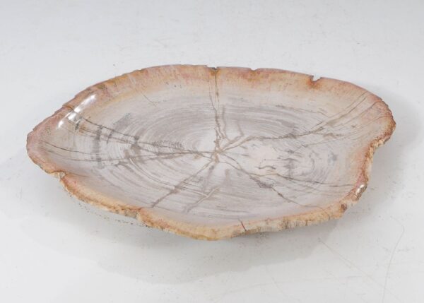 Plate petrified wood 54060