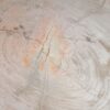 Plate petrified wood 54062