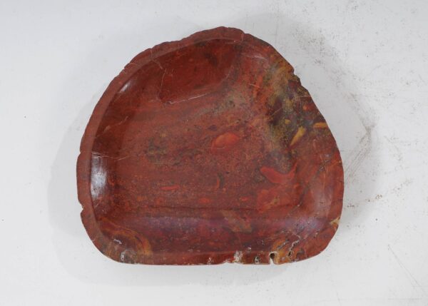 Plate petrified wood 54087