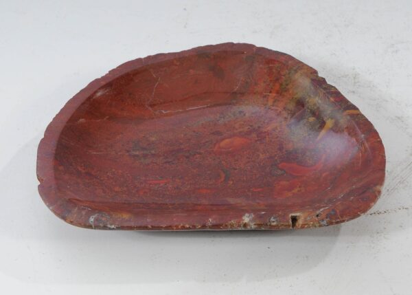 Plate petrified wood 54087