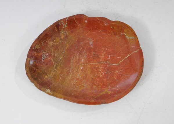 Plate petrified wood 54089