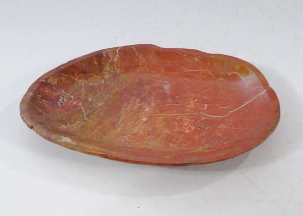 Plate petrified wood 54089