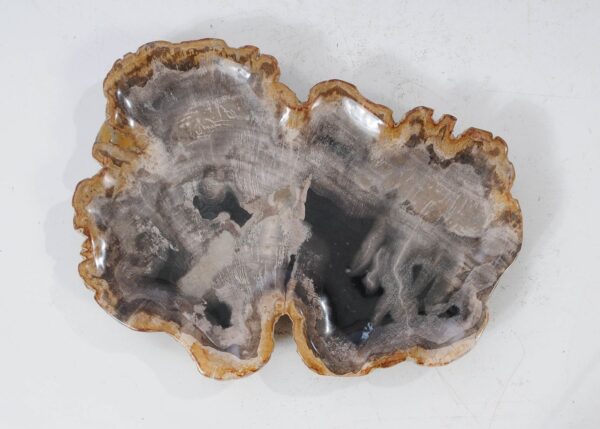 Plate petrified wood 54090