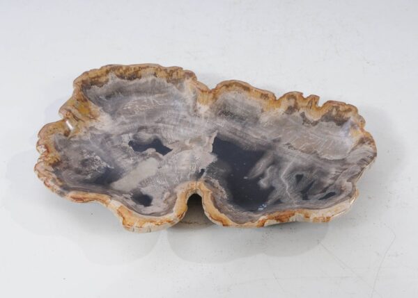 Plate petrified wood 54090