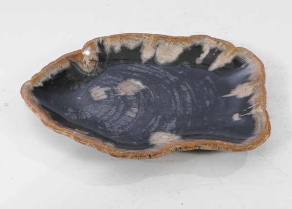 Plate petrified wood 54093