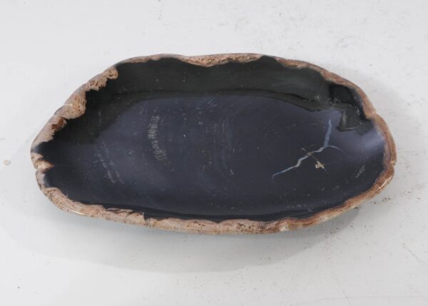 Plate petrified wood 54094