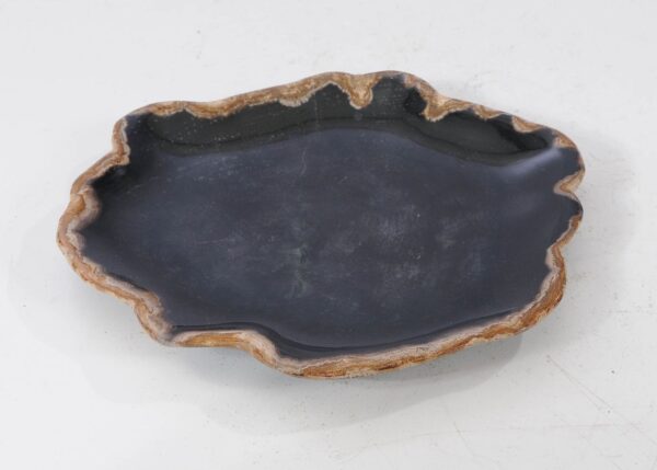 Plate petrified wood 54101