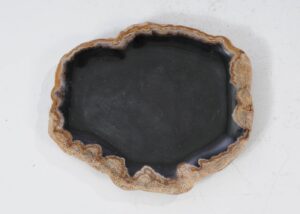 Plate petrified wood 54102