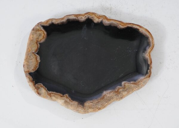 Plate petrified wood 54103