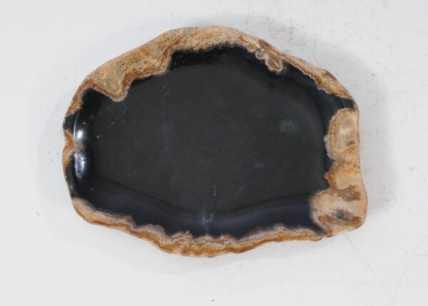 Plate petrified wood 54104