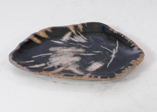 Plate petrified wood 54105