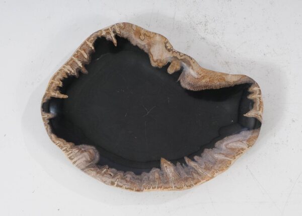 Plate petrified wood 54106