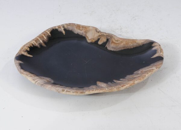 Plate petrified wood 54106