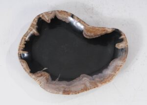 Plate petrified wood 54107