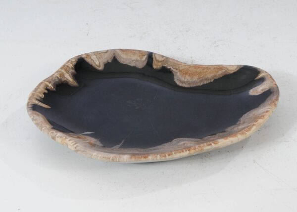 Plate petrified wood 54107