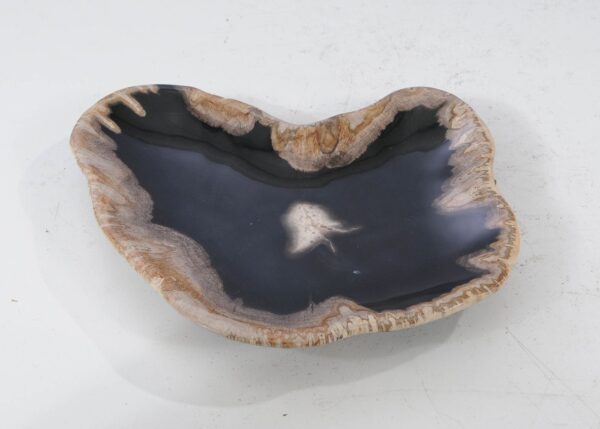 Plate petrified wood 54108