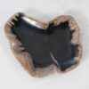 Plate petrified wood 54109
