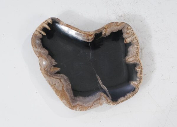 Plate petrified wood 54109